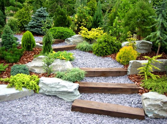Beautiful designer garden with fresh fern plants and stones